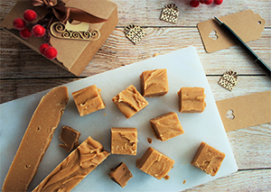 Baileys Fudge